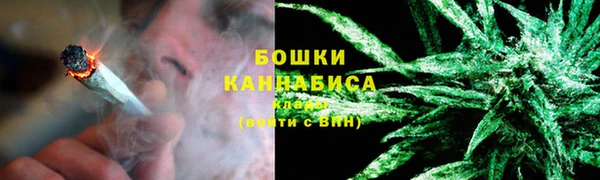 СК Строитель