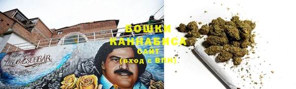 сатива Тайга