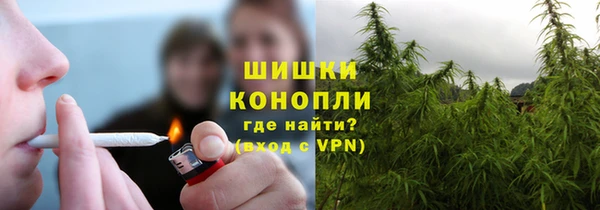 дживик Струнино