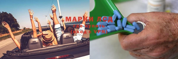 СК Строитель