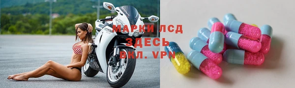 СК Строитель