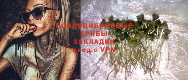 дживик Струнино
