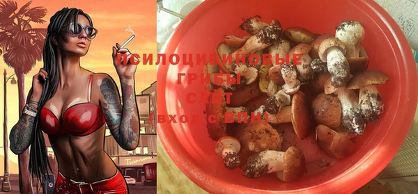 дживик Струнино